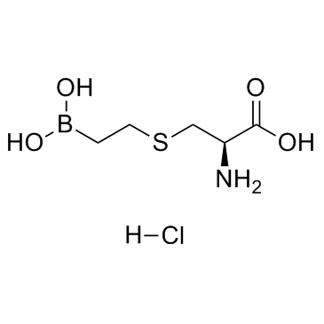 BEC hydrochloride